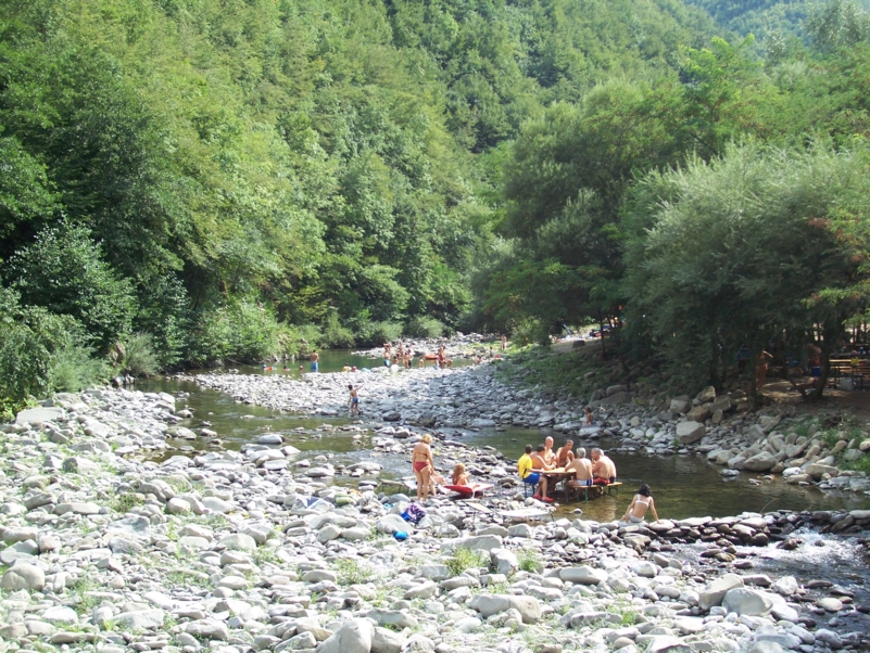  Image name: Parco151.jpg 
 width: 801 pixel 
 height: 602 pixel 
 Size: 577182 bytes 
 Click to enlarge 